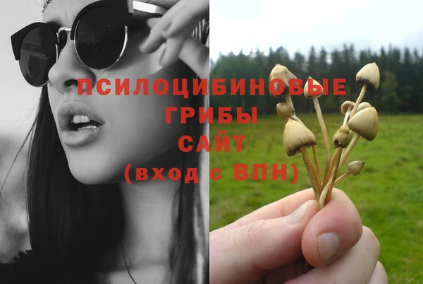 ГАЛЛЮЦИНОГЕННЫЕ ГРИБЫ Абдулино