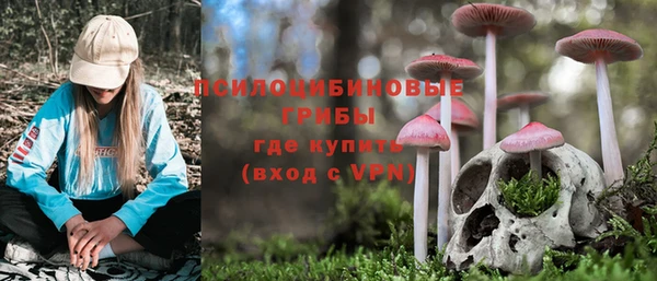 марки lsd Алексеевка