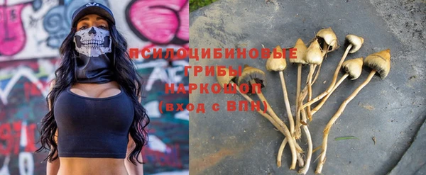 ECSTASY Абаза